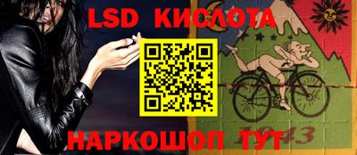 гашик Новокубанск