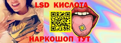 гашик Новокубанск