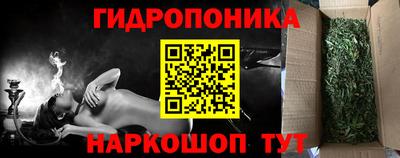 гашик Новокубанск