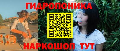скорость Новодвинск