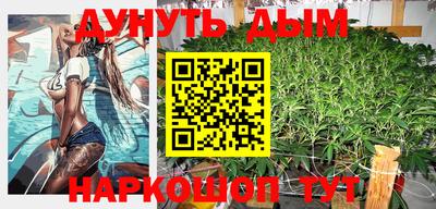 гашик Новокубанск