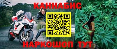 гашик Новокубанск