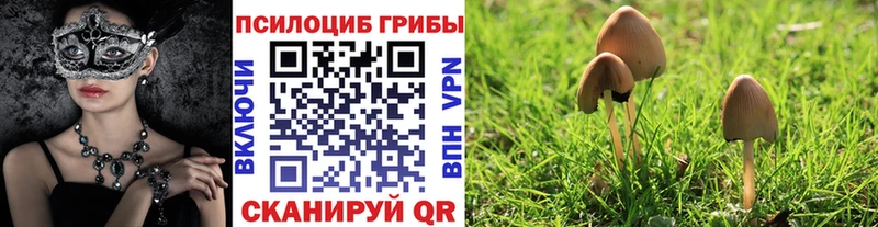 kraken как войти  это клад  Псилоцибиновые грибы мицелий  Фурманов 