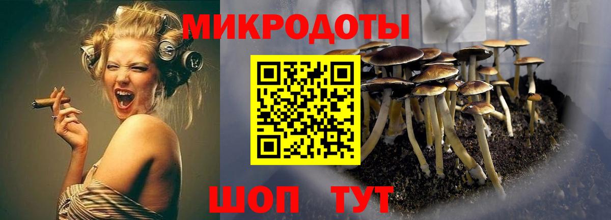 Галлюциногенные грибы Magic Shrooms Фурманов